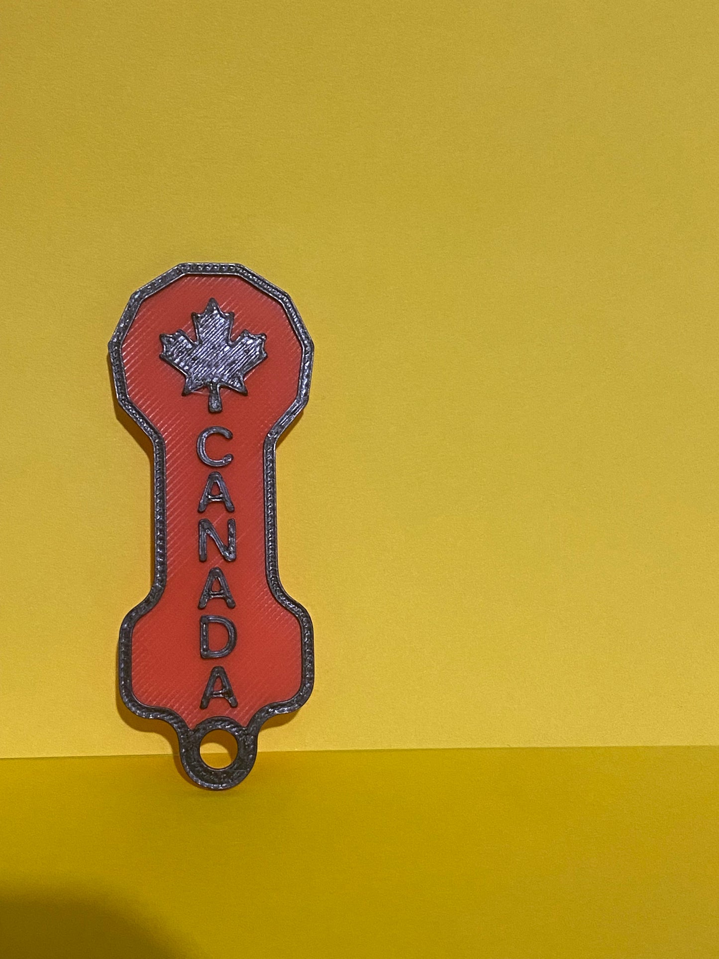 Loonie shopping cart coin